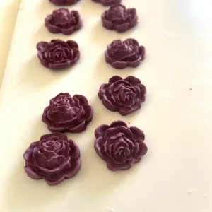 Rose - Purple